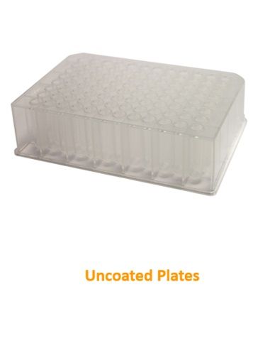 Chromatography Research Supplies Pure-Pass, 384 deep well, PP, V bottom, 10 pc/PAK