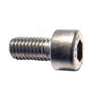Product Image of Screw, M4 X10mm, Cap Head, SS, 20/pk, Modell: SYNAPT G2 HDMS System, SYNAPT G2 MS System