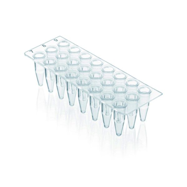 Brand GmbH & Co. KG PCR-Platte 24-well, PP, ohne Rahmen, 0,2 ml, transparent, BIO-CERT PCR-Q, 40 St/Pkg