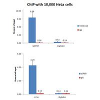 Product Image of CARBOTRAP Y 20/40 10GM