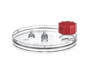 Greiner Bio-One CELLdisc, 1 Lage, 250 cm², clear, Standard-Screw Cap red, TC, sterile, 8 pc/PAK