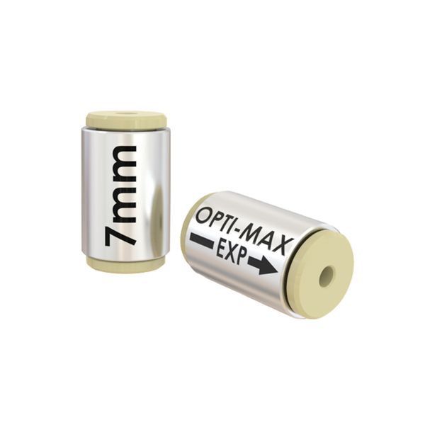 Optimize OPTI-MAX EXP Check Valve Cartridge, SS/PEEK/Zr for Dionex Ultimate 3000 Series, 2 pc/PAK