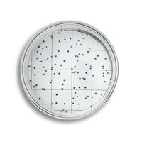 Product Image of EasyDisc DEV Test zur Bestimmung der Trinkwasser- und Quellwasserqualität, 25 St/Pkg