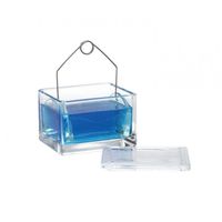 Product Image of Staining box, complete, for 20 slides, clear AR-glass, 6 pc/PAK