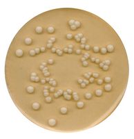 Merck Potato dextrose agar for microbiology, 500 g