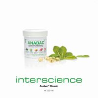 Product Image of Anabac Classic, Autoklavdeodorant, Eucalyptusduft, 100 St/Pkg