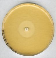 Merck Antibiotic agar no. 11 GROVE and RANDALL medium no. 11 for microbiology, 500 g