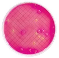 Millipore MILLIFLEX AGAR CASSETTE (MAC CONKEY)