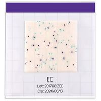 Product Image of Mc-Media Pad E. Coli And Coliform