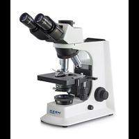 OBL 156 - Phase Contrast Microscope, HWF 10 x 20mm, 4x/10x/40x/100x, 6V, 20W Halogen