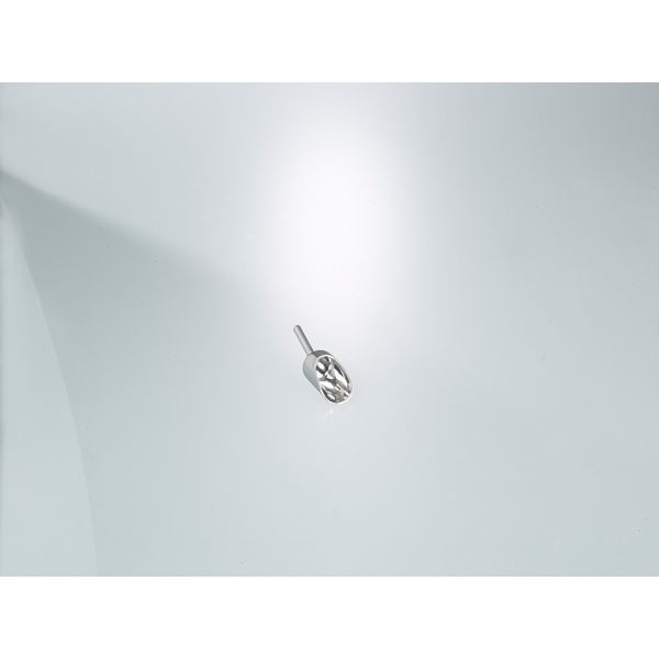 Bürkle Pharma-Schaufel, V4A, 10 ml, Ø 25 mm, 45 mm