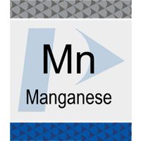 Product Image of Standard 1 MG/L Manganese in 2% HN03 125ml