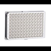 Cell culture microplate, 96 well, PS, F-bottom, (chimney shape), white, Cellcoat®, poly-D-lysine, cover plate with condensation rings, 4 x 5 pc/PAK