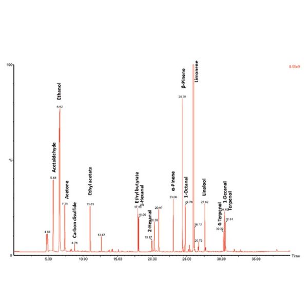 PerkinElmer GC-Säule Elite-5MS, 1,4-bis(dimethylsiloxy)phenylene dimethyl polysiloxane, 60 m, 0,25 mm, 1,00 μm