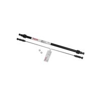Product Image of IonPac AG11-HC IC Column, 2x50mm