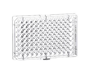 Greiner Bio-One Plates for tissue cultures, PS, with lids, f-bottom, Clear, sterile, 100/PAK