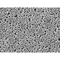 Product Image of Membrane filter, round, Millipore Express Plus, PES, 47 mm, 0,22 µm, 100/pac