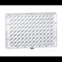 Microplate, 96 well, PS, f-bottom, clear, non-sterile, 10x10/PAK