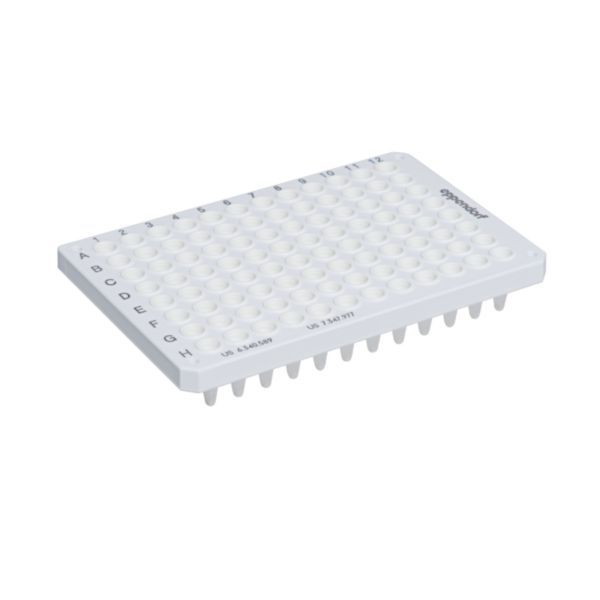 Eppendorf twin.tec microbiology PCR Plate 96 skirted, farblos