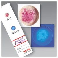 Product Image of BactiCard Strep Identifizierungstests, 25 St/Pkg, Biochemische Identifizierungsprodukte bei 2 - 8 °C lagern, wenn nicht anders angegeben.