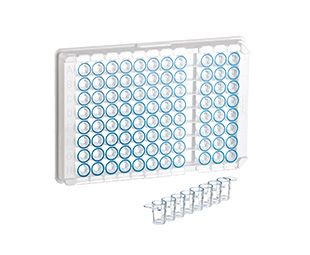 Greiner Bio-One Single-Break Stripe Plate, 12xC8, PS, C-Bottom, MICROLON, high Binding, clear, blue marked Skirt, 10 x 10 pc/PAK