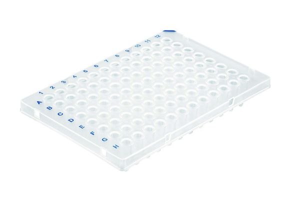 Brand GmbH & Co. KG PCR-Platte 96-well, PP, halber Rahmen, Standard, 0,2 ml, transparent, BIO-CERT PCR-Q, 50 St/Pkg