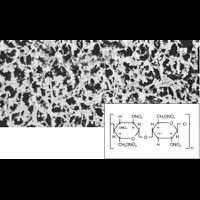 Membrane Filter, CN, 50 mm, 0.45µm, 100 pc/PAK