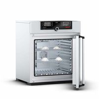Product Image of Sterilizer SF30, forced air circulation, Single-Display, 32 L, 20°C - 250°C, with 1 Grid