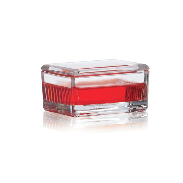 DWK Wheaton Staining box with lid for 10-20 slides, clear AR glass, 6 pc/PAK