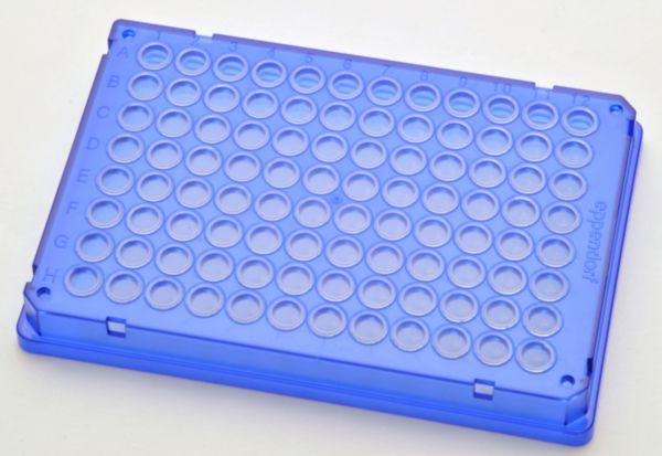 Eppendorf twin.tec PCR Plate 96, skirted (Wells colorless) blue, 300 pcs.