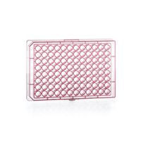 Product Image of Microplate, 96 well, PP, U-bottom, red, 10 x 10 pc/PAK