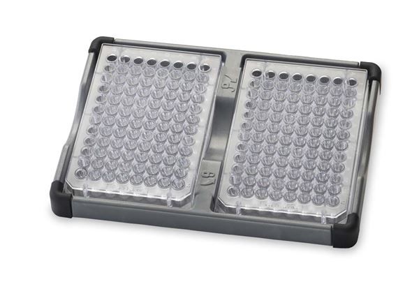 Ohaus Doppelter Mikroplattenhalter, für Vortexer