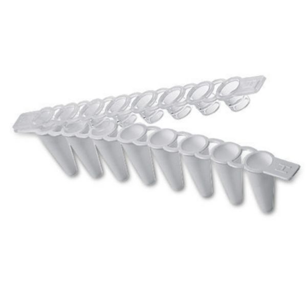 Eppendorf Masterclear Cap Strips and real-time PCR Tube Strips, 10x 12 = 120 pcs. each