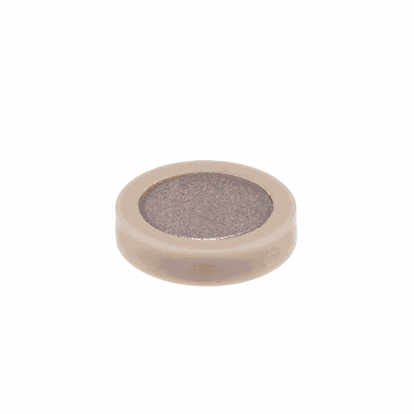 Microsolv Fritte, Titan, 2 μm, PEEK-ummantelt, Durchmesser 0,25 Zoll, ID 0,181 Zoll, Dicke 0,062 Zoll, Marke: EPP-Porous Products, 10 St/Pkg