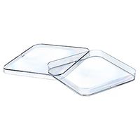 Product Image of Petri Dish, PS, square, clear, 120x120x17 mm, with vents, non-sterile, 24x10 pc/PAK