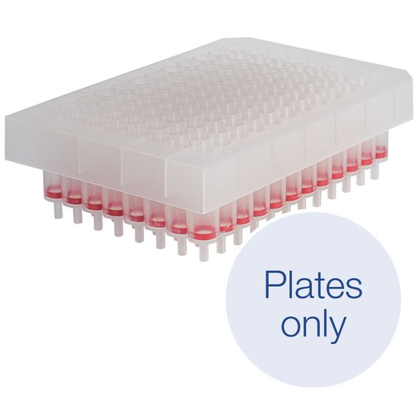 Macherey-Nagel NucleoSpin 96 Blood Binding Plates, 24 x 96-Well-Platten für die Isolierung von genomischer DNA aus Blut