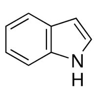 Product Image of INDOLE, 1000MG, NEAT