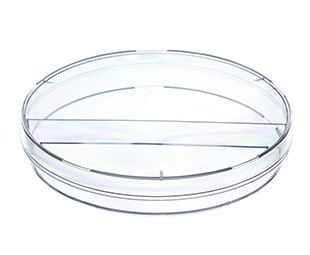 Greiner Bio-One Petrischale, PS, 94/15 mm, mit Nocken, zweigeteilt, steril, 24 x 20 St/Pkg
