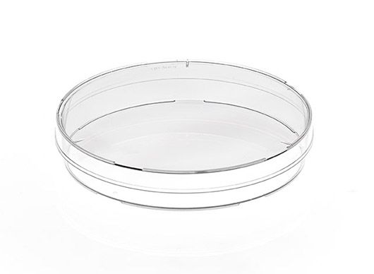 Greiner Bio-One Petrischale, PS, 94 x 16 mm, steril, mit Nocken, 24 x 20 St/Pkg