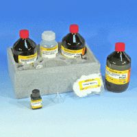 Product Image of Rechteckküvettentest NANOCOLOR Detergentien kationisch