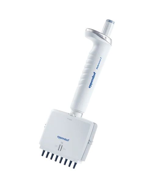 Eppendorf EP Reference 2 G, 8-channel, variable, 0.5 - 10 μl, medium gray