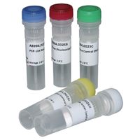 Product Image of PCR Mycoplasmen - Testkit II, 25 Tests