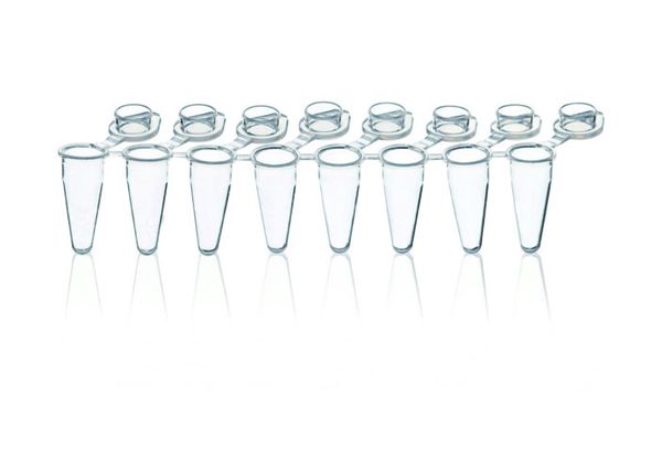 Brand GmbH & Co. KG 8er-Strips PCR-Gefäße, PP, 0,15 ml, transparent, mit anhängenden, flachen Einzeldeckeln, BIO-CERT PCR-Q, 120 St/Pkg