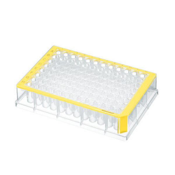 Eppendorf Deepwell Plate 96/500 μl, Standard, gelb 40 St.