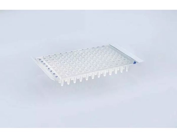 Brand GmbH & Co. KG Verschlussfolie für Platten, PET, abziehbar, selbstklebend, für PCR, Lagerung und Transport, DNA-, RNase- u. DNase-frei, 100 Blatt