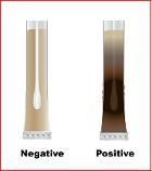 HyServer Listeria swab with indicator culture medium, 25 pcs/PAK