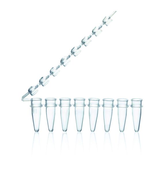 Brand GmbH & Co. KG 8er-Strips PCR-Gefäße, PP, 0,2 ml, transparent, mit anhängendem Deckelstreifen, BIO-CERT PCR-Q, 125 St/Pkg