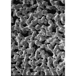 Millipore Membranfilter, rund, Silber, 25 mm, 0,45 μm, 50/Pak