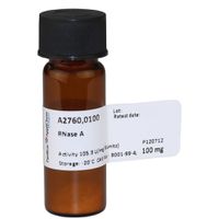 Product Image of RNase A, 100 mg