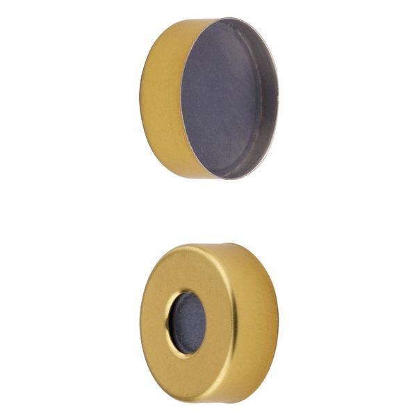 Microsolv Headspace Crimp Cap gold, magnetic, 20 mm, with Grey Butyl Rubber Septa, 1000 pc/PAK
